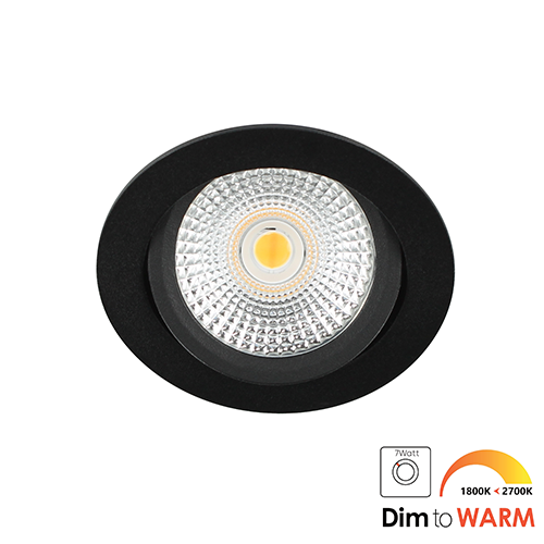 LED spot kantelbaar 5Watt rond ZWART dimbaar DTW-2