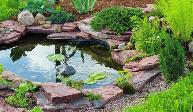 tuin inspiratie vijver